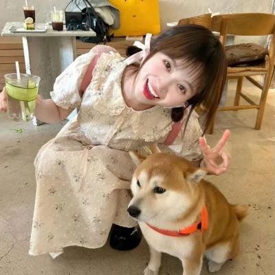 人间惊鸿客